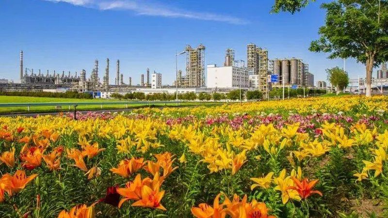 造纸消泡剂：揭秘其作用原理及选购要点