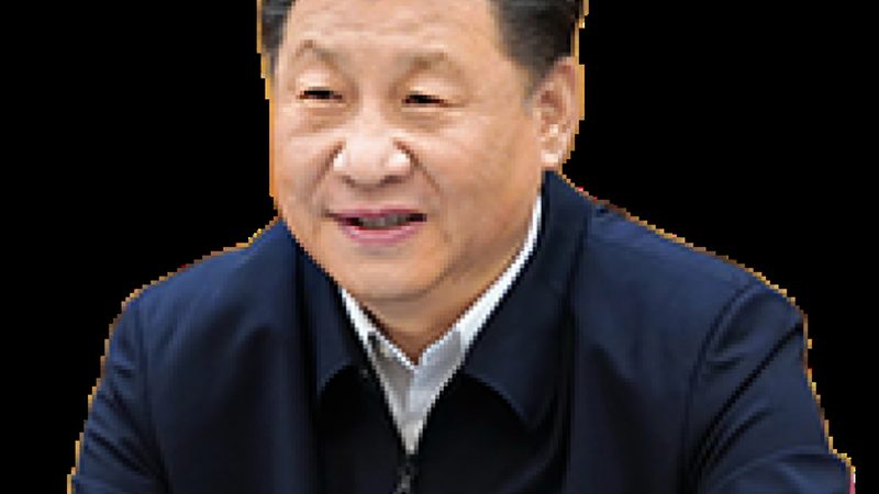 宠物食品防腐剂国家标准解析：守护宠物健康的坚实后盾